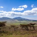TZA ARU Ngorongoro 2016DEC23 037 : 2016, 2016 - African Adventures, Africa, Arusha, Date, December, Eastern, Month, Ngorongoro, Places, Tanzania, Trips, Year